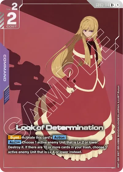 Look of Determination