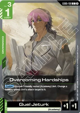 Overcoming Hardships
