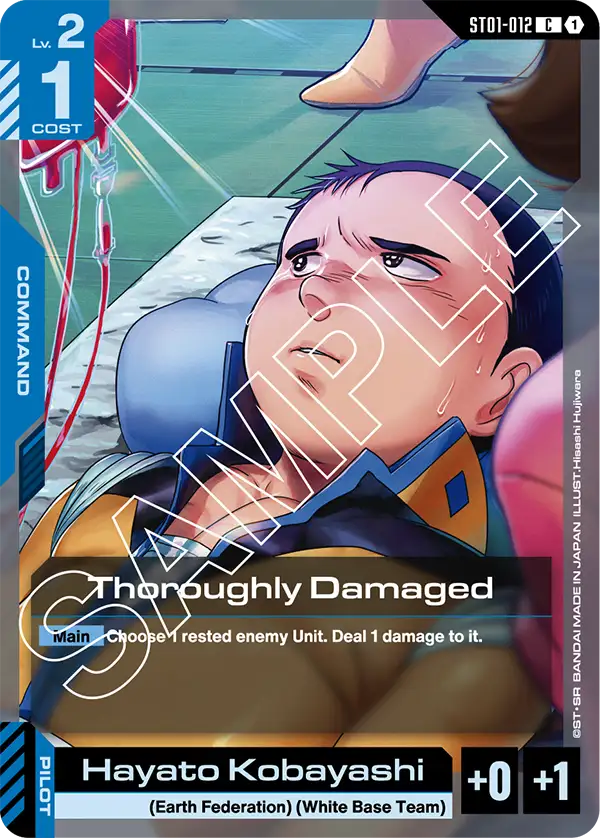 Thoroughly Damaged